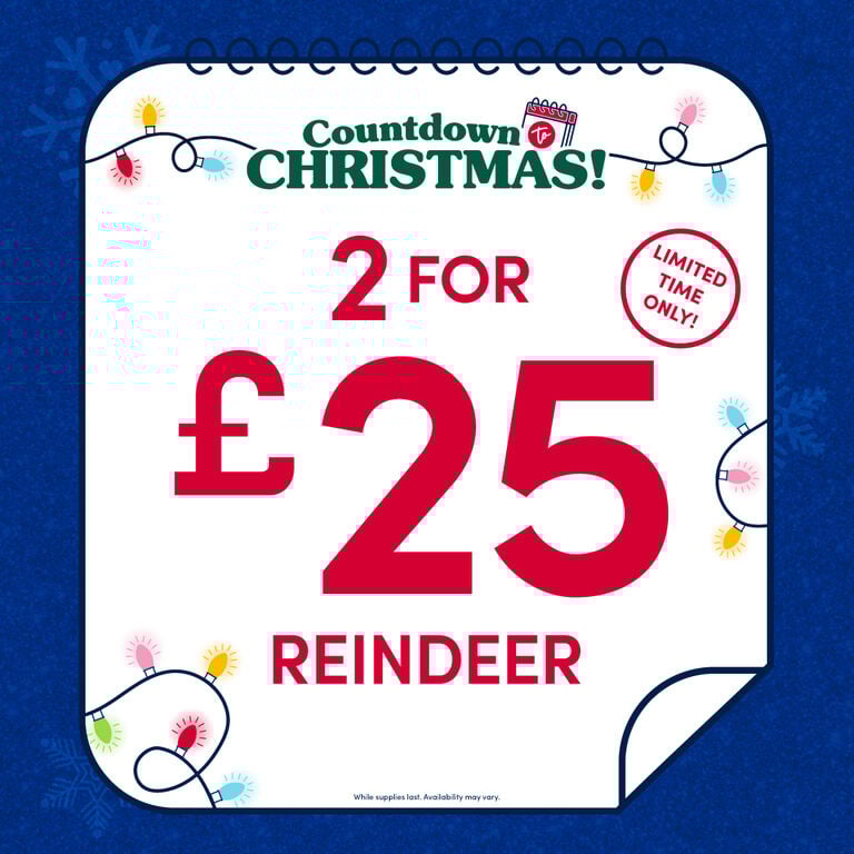 2 FOR £25 REINDEER